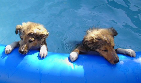 Alice og Emil bader i bassenget